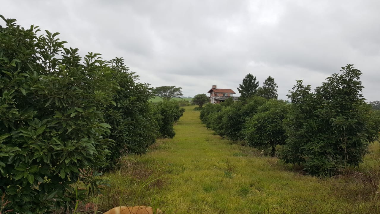 Campos y Lotes - Tucuman