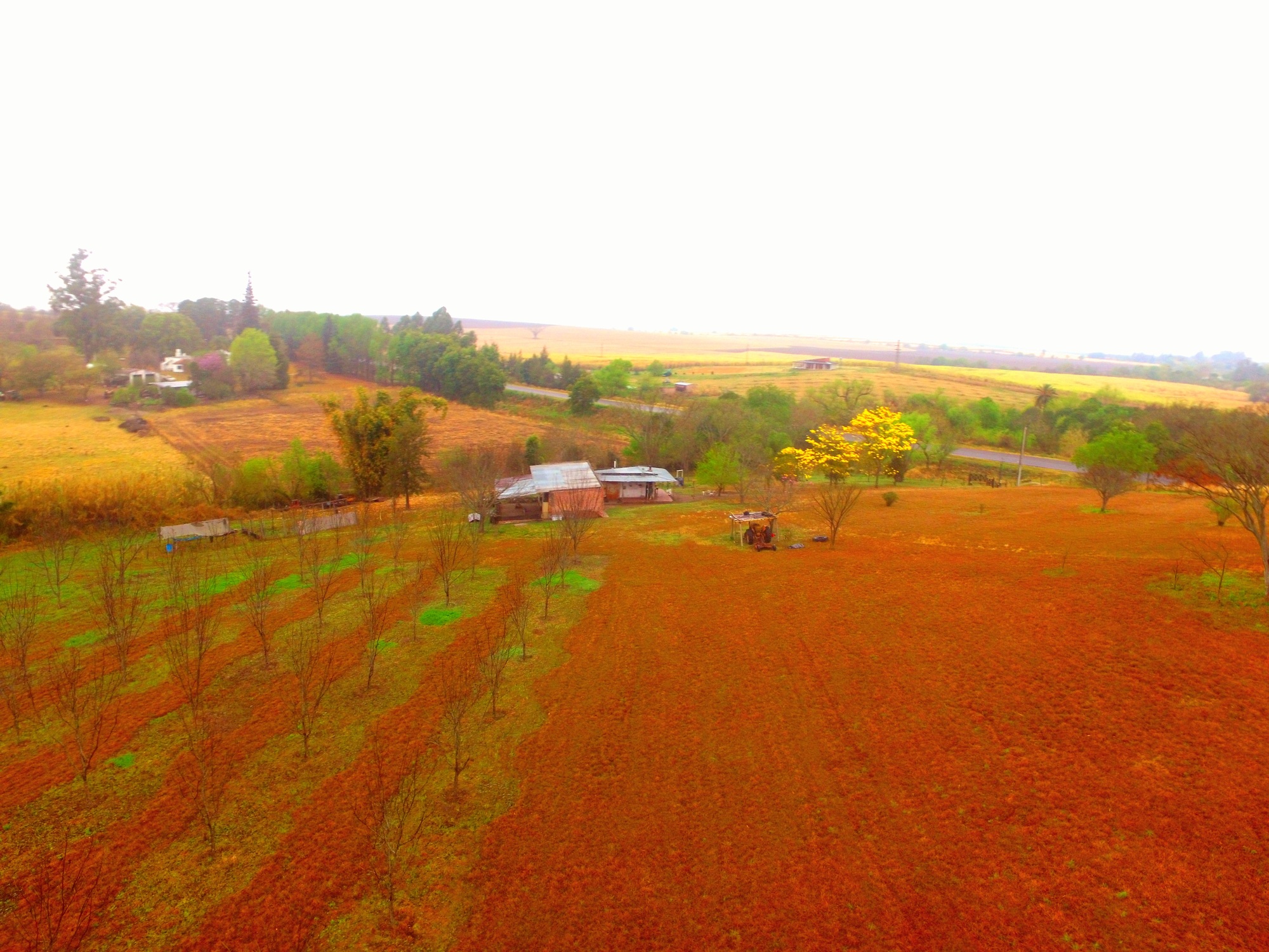 Campos y Lotes - Tucuman